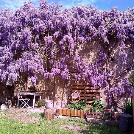 Le Clos Vicq-sur-Gartempe エクステリア 写真
